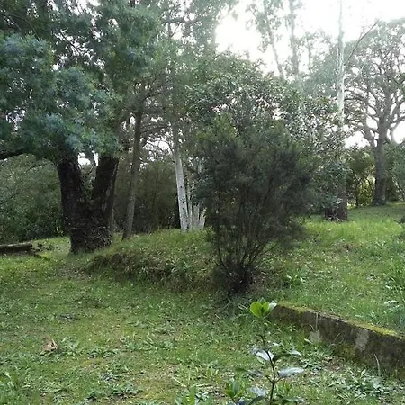 Campagne Lei Suves Cogolin
