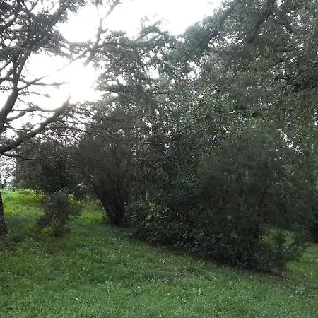 Campagne Lei Suves * Cogolin