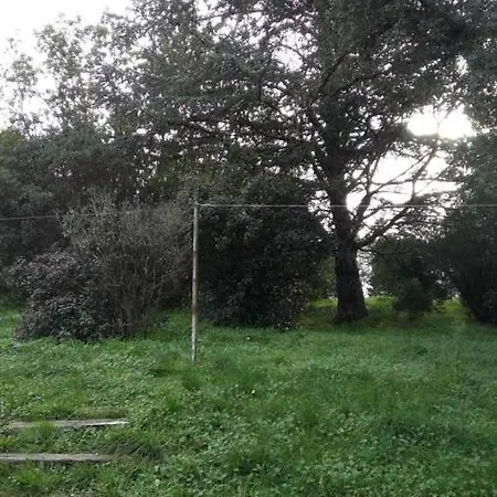 Campagne Lei Suves Cogolin